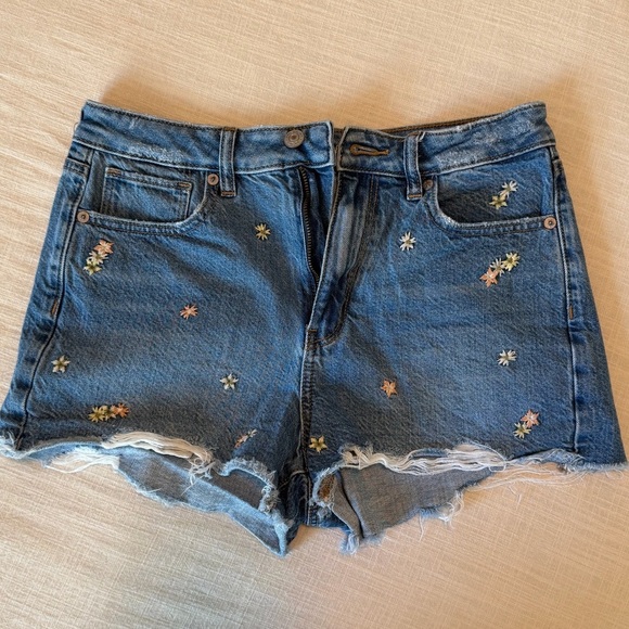 American Eagle Outfitters Pants - American Eagle Outfitters Blue Jean Shorts with Floral Embroidery